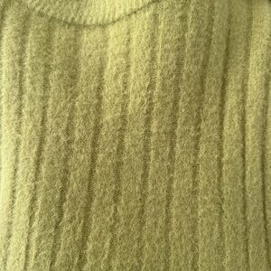 Aerie Women's green Sweater
